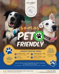 petfriendly